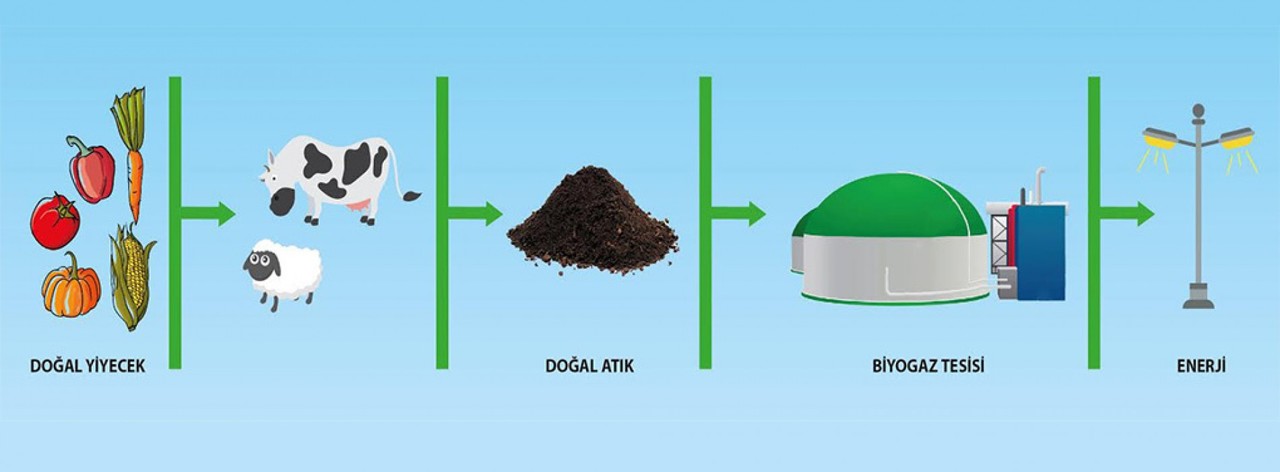 Foça Açık Ceza İnfaz Kurumundan Özgür Enerji Projesi