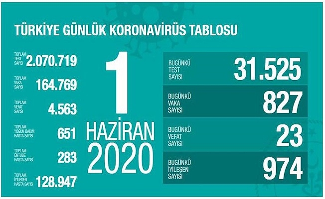 01 Haziran Sağlık Bakanlığı Koronavirüs Tablosu !