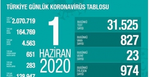 01 Haziran Sağlık Bakanlığı Koronavirüs Tablosu !