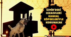 İzmir'deki Cezaevleri Kangal Köpekleriyle Korunacak